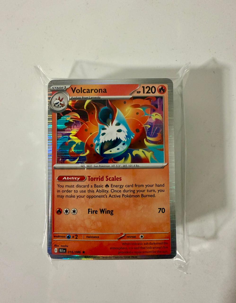 BLACK AND WHITE Lote 100 Cartas Pokémon
