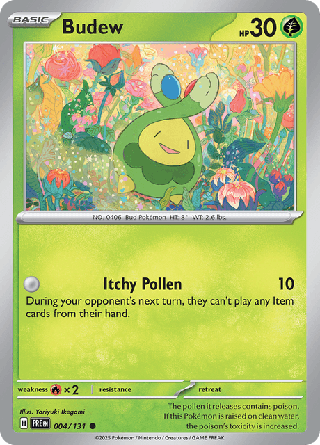 budew(Ingles)