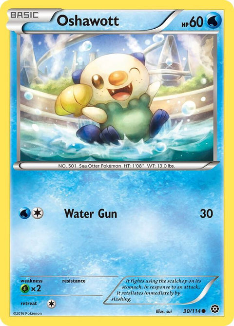 Oshawott - 30/114 - Common (Inglés Reverse Holo NM)