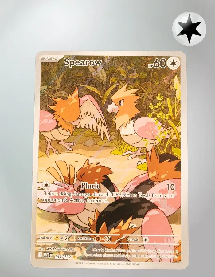 Spearow MEG LA 151/132